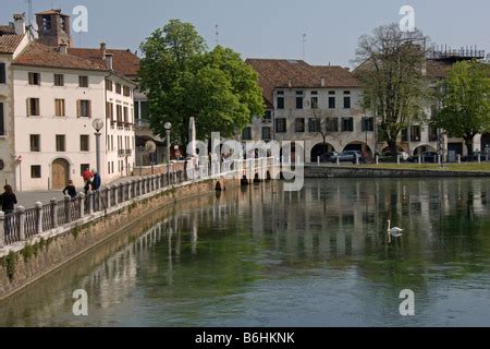 transtreviso|Transgender Dating in Treviso, Italy 